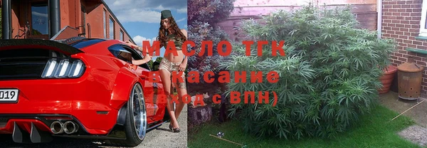крисы Алзамай