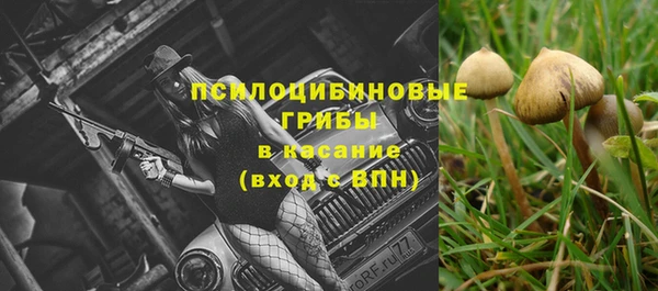 ГАЛЛЮЦИНОГЕННЫЕ ГРИБЫ Алексеевка