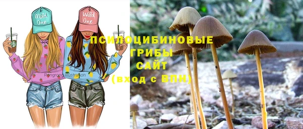 ГАЛЛЮЦИНОГЕННЫЕ ГРИБЫ Алексеевка