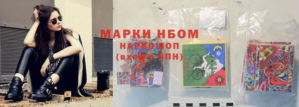 крисы Алзамай