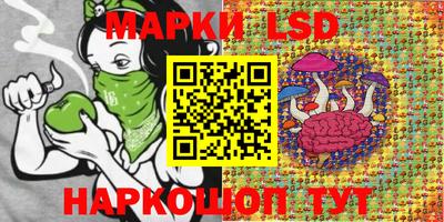 индика Тара