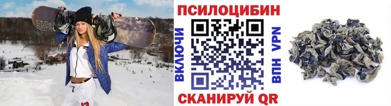 Псилоцибиновые грибы мицелий  это Telegram  Нововоронеж 