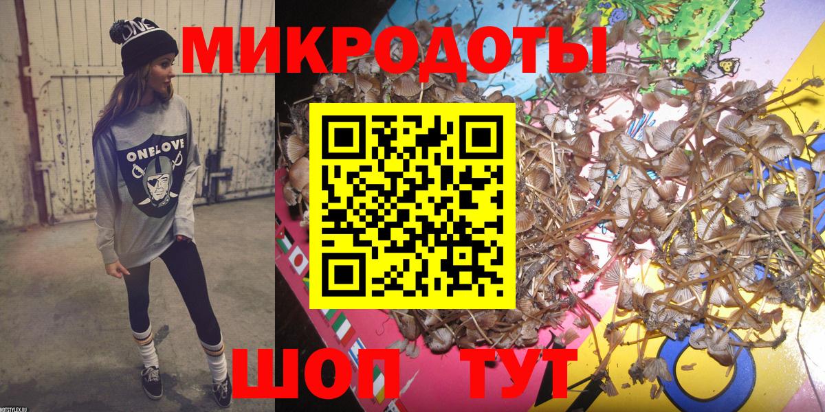 Псилоцибиновые грибы Psilocybe Нововоронеж