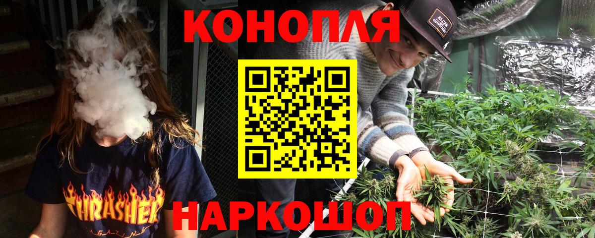 Конопля сатива Нововоронеж